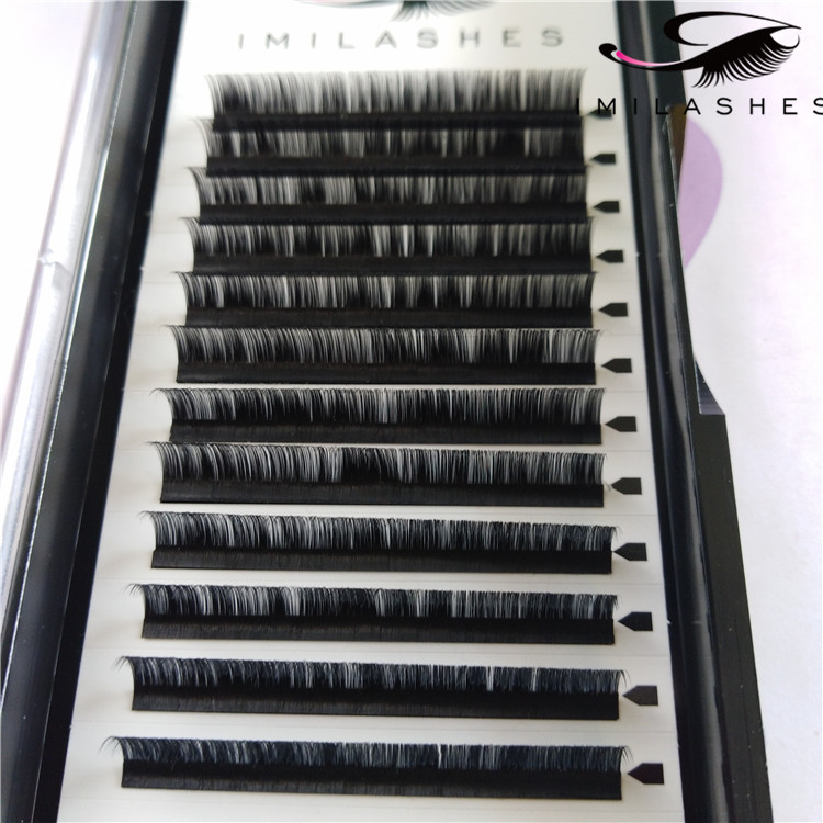 China volume mink lash bar extensions filler supplies-V 